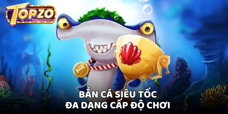 Hội viên linh hoạt tham gia vào các cấp độ chơi đa dạng tại Topzo