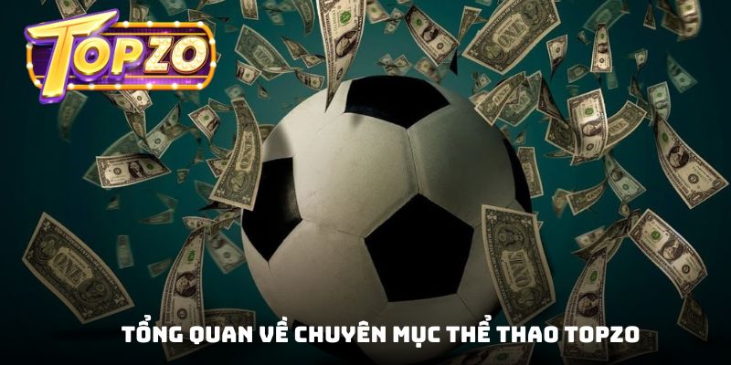 Sơ lược về sảnh cược thể thao Topzo